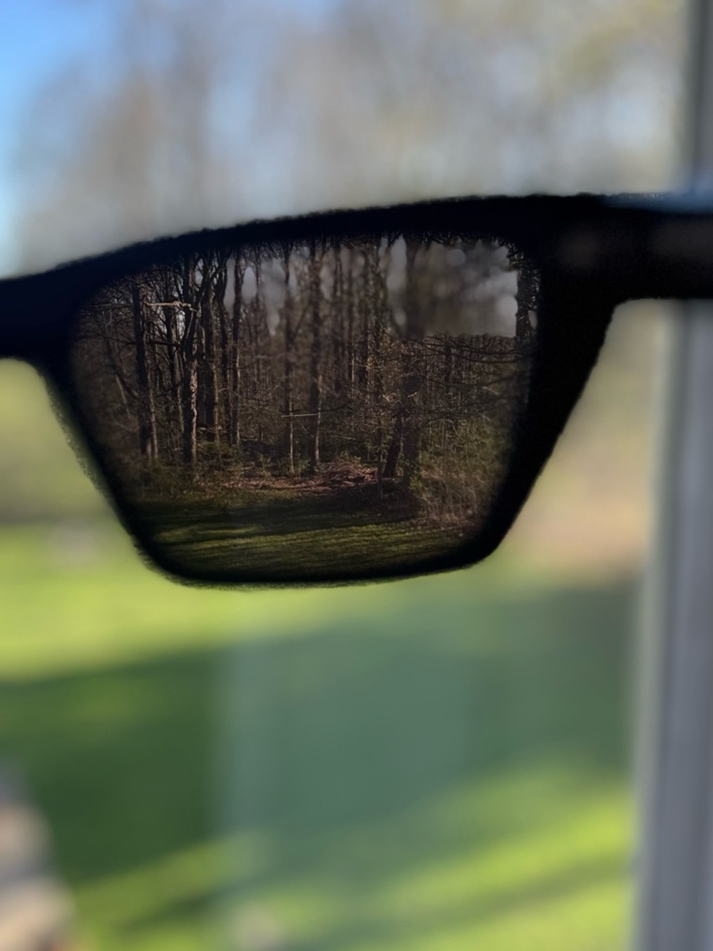 SAINT LAURENT Grey Cat Eye Ladies
Sunglasses SL 276 MICA 001 53 
❤️Authentic!!! - Picture 6 of 10